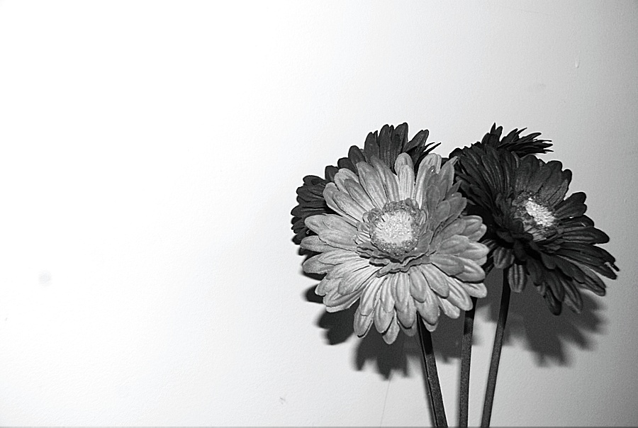 Photographie par Aarengrey pour DesignCrowd (Community Contests) | Design #8982045