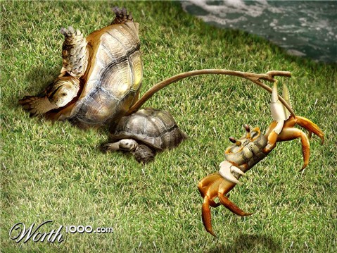 Photoshop Design by ilCuco