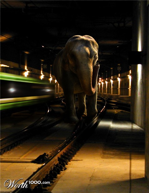 Photoshop Design by Andy Christensen