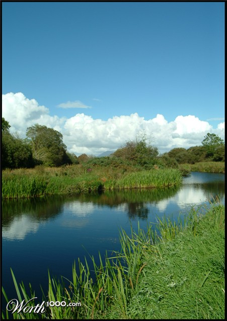 Photography by bexraven