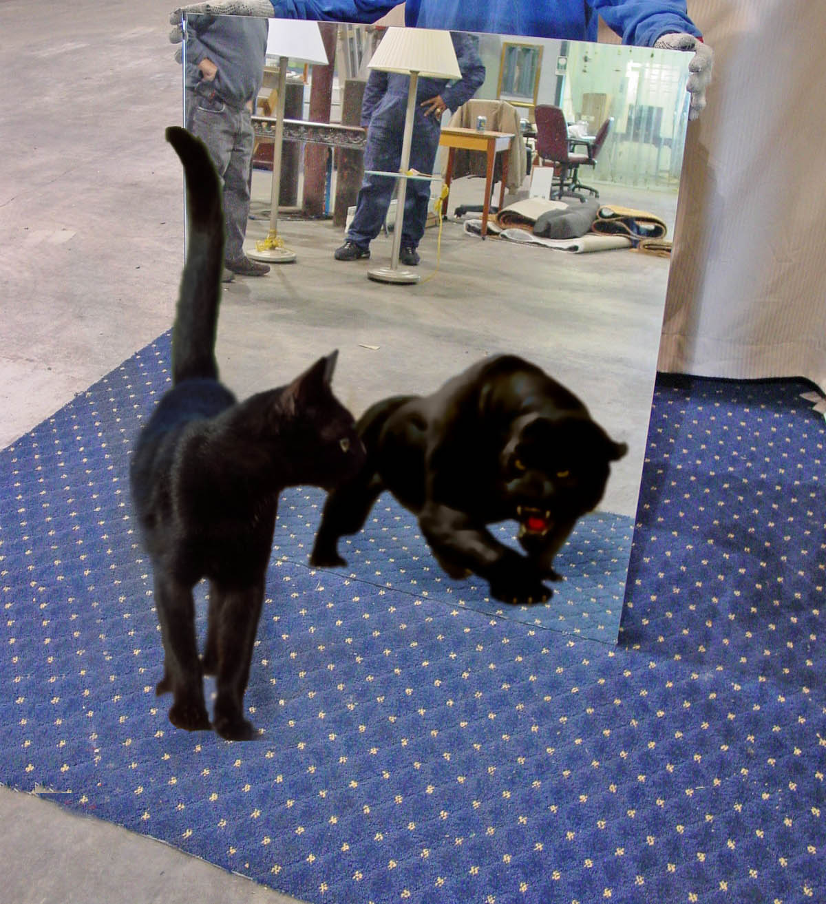 Photoshop Design by havril for DesignCrowd (Community Contests) | Design #8983303