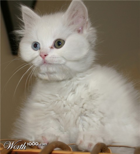 Photoshop Design by politikk2007