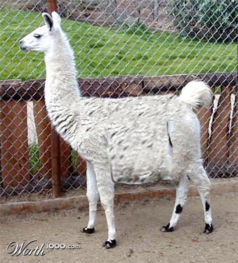 Photoshop Design by DrRobot