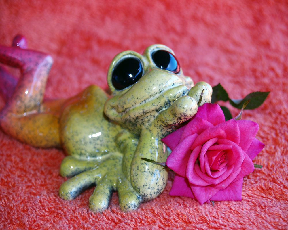 Photography by Brat68 for DesignCrowd (Community Contests) | Design #8977002