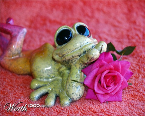 Photography by Brat68