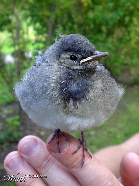 Photoshop Design by chocoblock