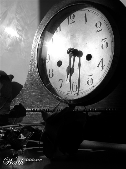 Photography by Gattophilia
