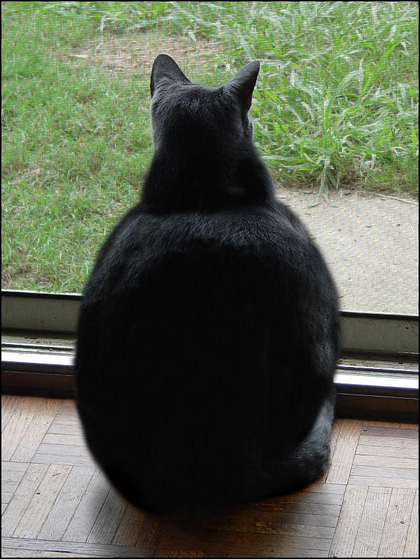 Photoshop Design by mandabear1023 for DesignCrowd (Community Contests) | Design #8976703