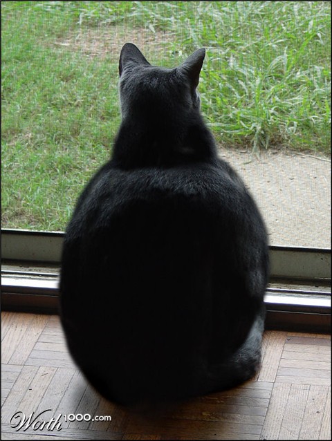 Photoshop Design by mandabear1023