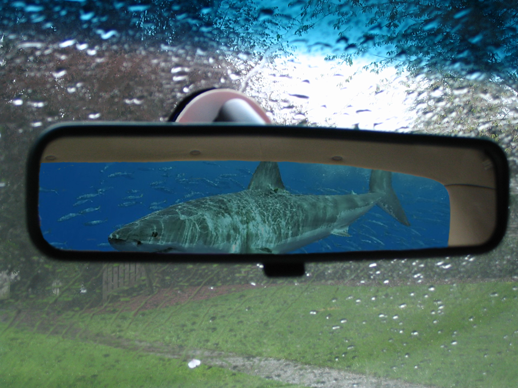 Photoshop Design by bicyclewilli for DesignCrowd (Community Contests) | Design #8983335