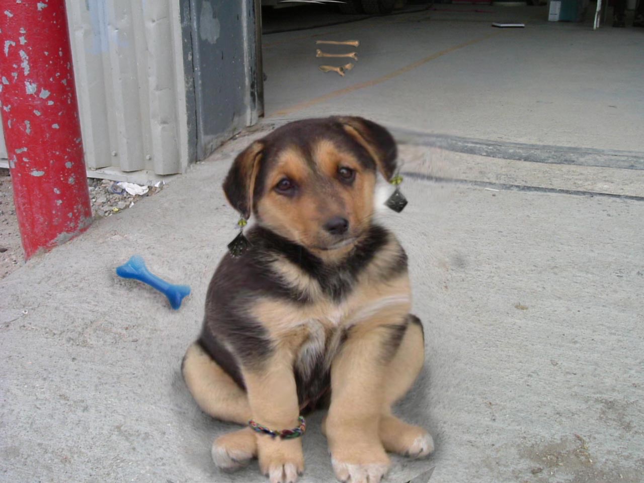 Design Photoshop par Matt0405 pour DesignCrowd (Community Contests) | Design #8976732