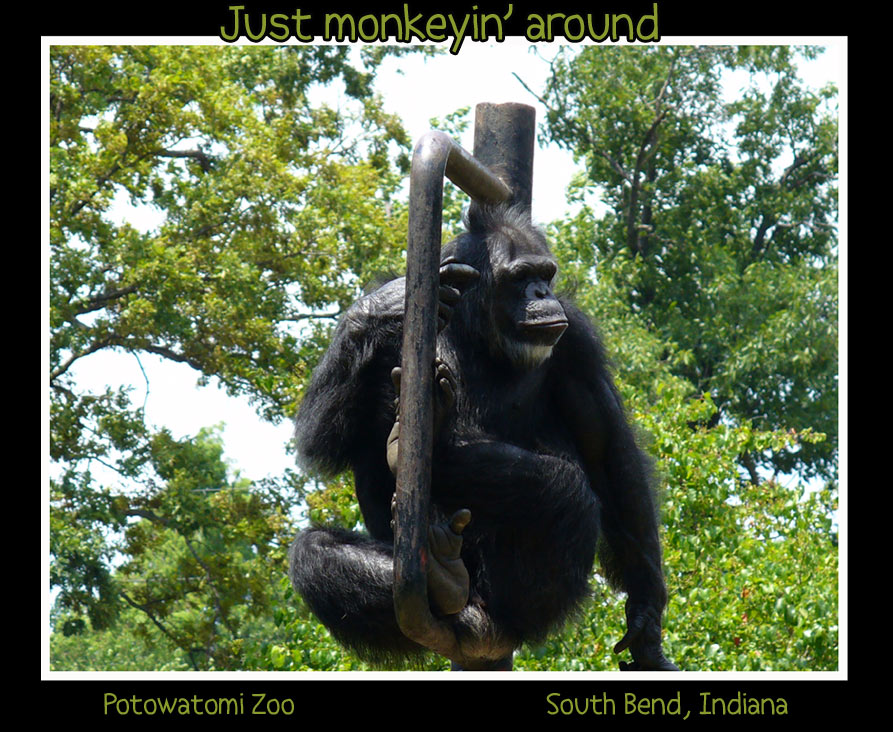 Photography by jconcilio for DesignCrowd (Community Contests) | Design #8978140