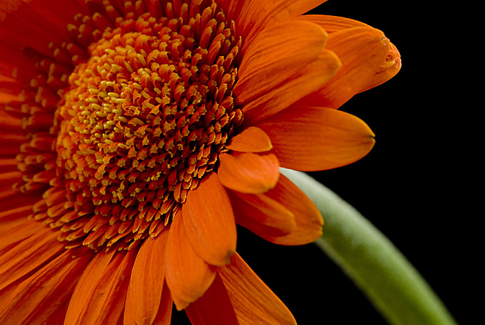 Photographie par wiggster pour DesignCrowd (Community Contests) | Design #8977000