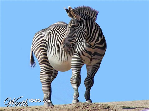 Photoshop Design by BlueHeron