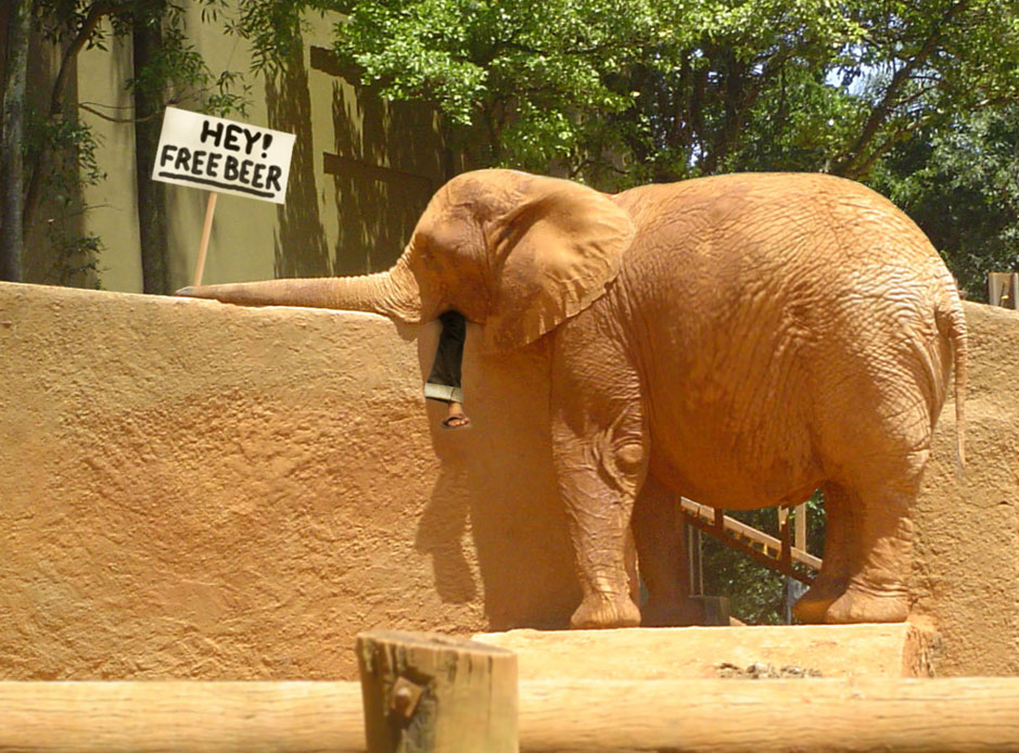 Diseño de Photoshop por OlofSeg para DesignCrowd (Community Contests) | Diseño #8976739