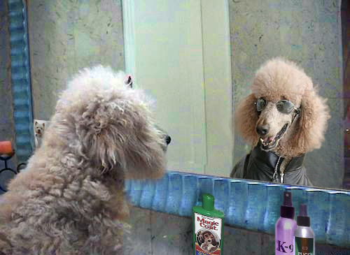 Design Photoshop par Mushon pour DesignCrowd (Community Contests) | Design #8983409