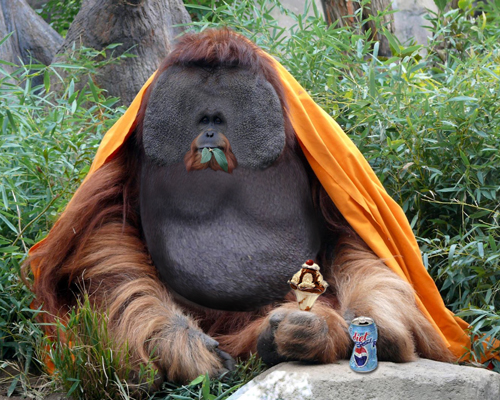 Photoshop Design by bobber1 for DesignCrowd (Community Contests) | Design #8976801