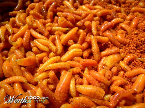 Photoshop Design by Shaft1066