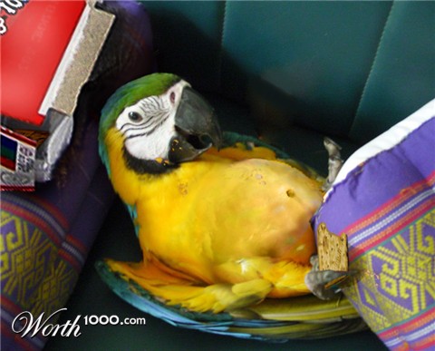 Photoshop Design by Acousticrat