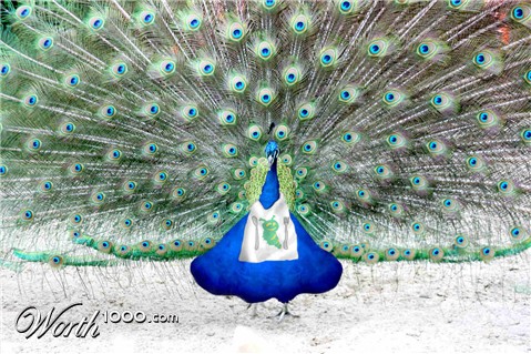 Photoshop Design by deverin