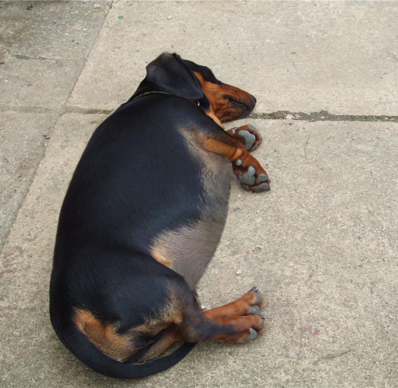 Photoshop Design by djdude88 for DesignCrowd (Community Contests) | Design #8976791