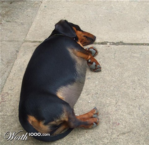 Photoshop Design by djdude88