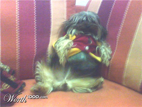 Photoshop Design by Reverendo