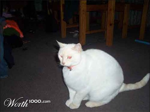 Photoshop Design by vampyvalentine