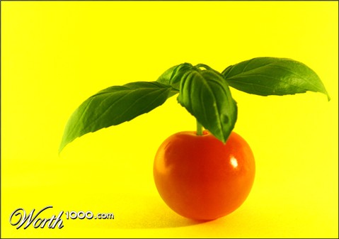 Photography by sodigece