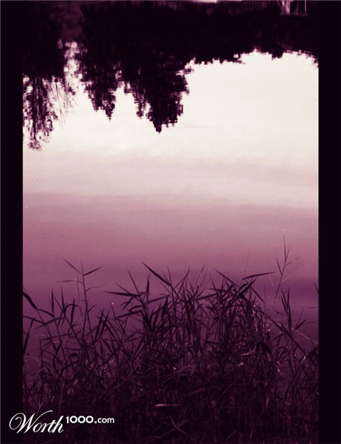 Photography by keboin