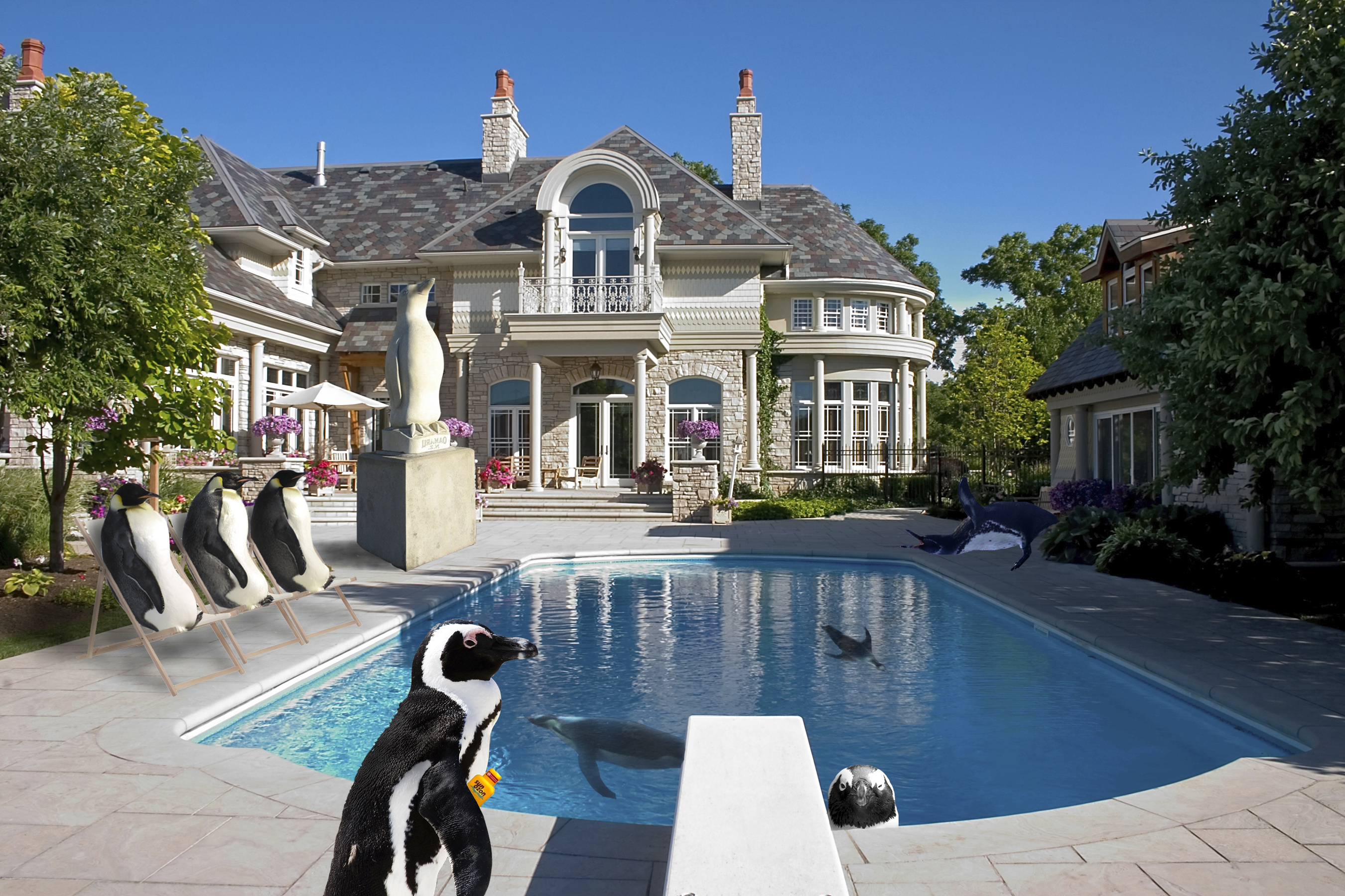 Photoshop Design by Golluminator for DesignCrowd (Community Contests) | Design #8976569