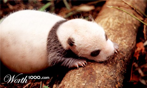 Photoshop Design by frozzzen