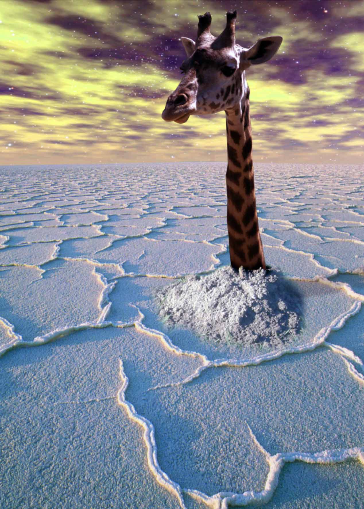 Photoshop-Design von kizzle für DesignCrowd (Community Contests) | Design #8976560