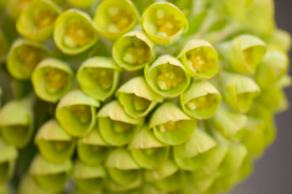 Photography by Sangis for DesignCrowd (Community Contests) | Design #8977083