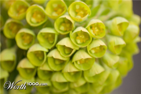 Photography by Sangis