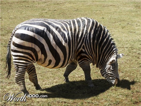 Photoshop Design by DrDemon