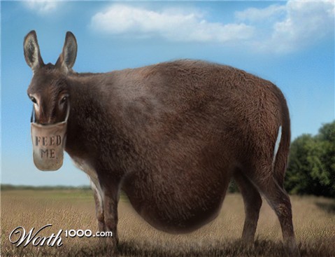 Photoshop Design by Ram1012