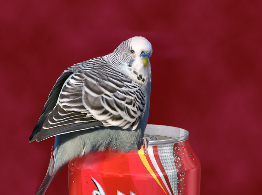 Photoshop Design by chefy83 for DesignCrowd (Community Contests) | Design #8976794