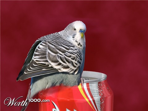 Photoshop Design by chefy83