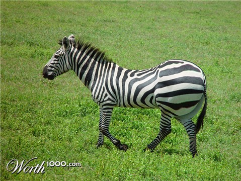 Photoshop Design by scrillagetter