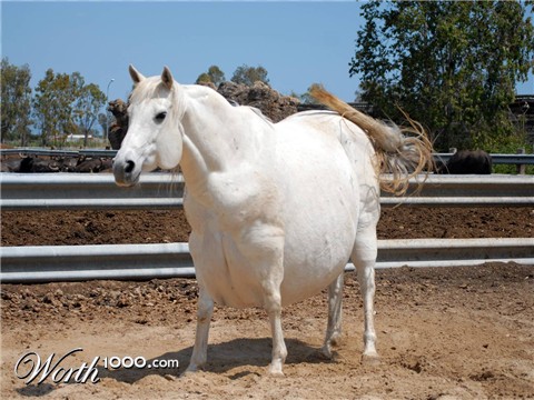 Photoshop Design by DerekBurns