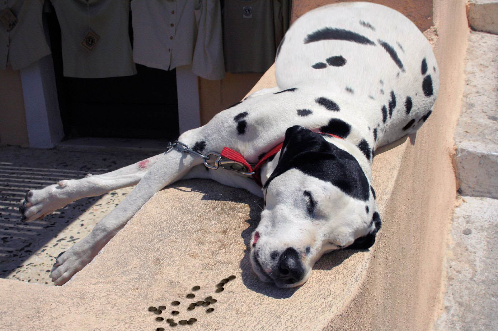 Diseño de Photoshop por what212 para DesignCrowd (Community Contests) | Diseño #8976755