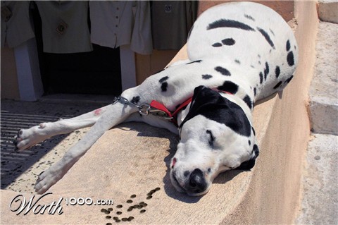 Photoshop Design by what212