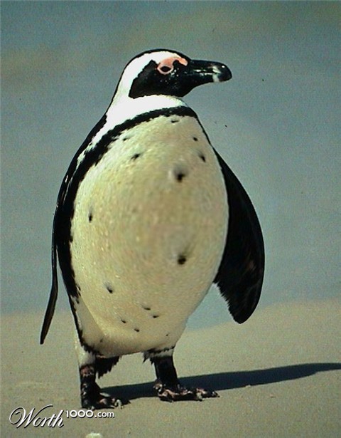 Photoshop Design by bobjack1331