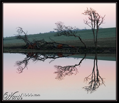 Photography by SigloV