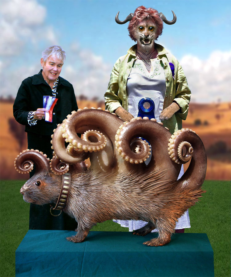 Photoshop-Design von ozplasmic für DesignCrowd (Community Contests) | Design #8977788