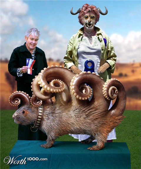 Photoshop Design by ozplasmic