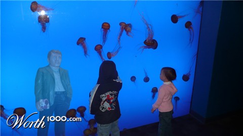 Photoshop Design by Colin841