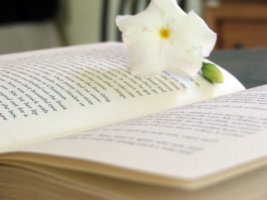 Fotografía por Arnovw para DesignCrowd (Community Contests) | Diseño #8977050