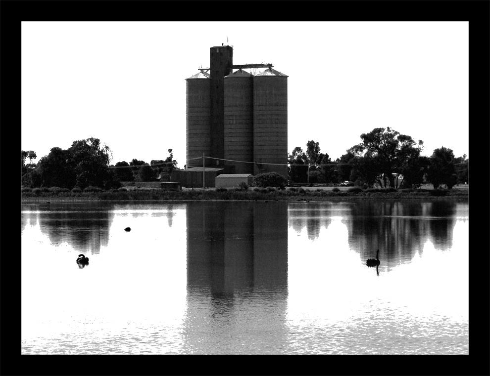 Photography by R-evolution GFX for DesignCrowd (Community Contests) | Design #8982103